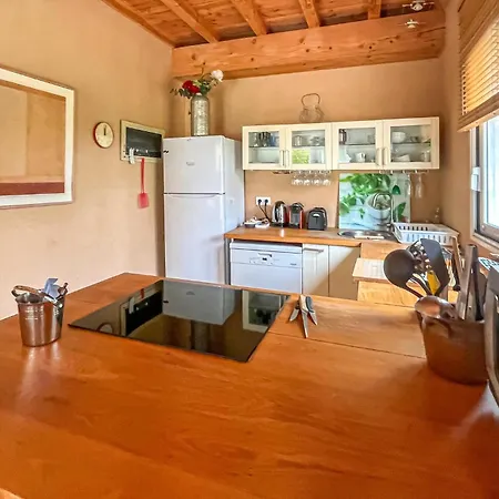 Mazet Piscine Proche Uzes Feriehus Blauzac (Gard)